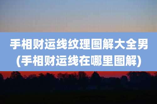 手相财运线纹理图解大全男(手相财运线在哪里图解)