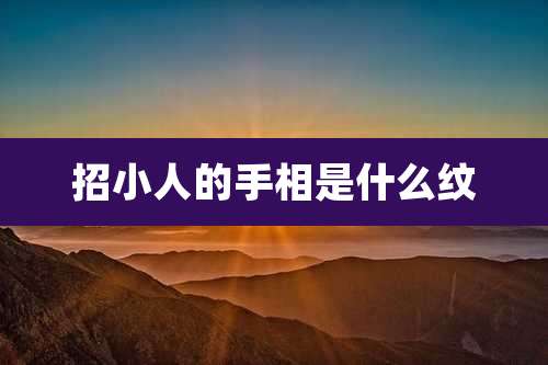 招小人的手相是什么纹