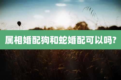 属相婚配狗和蛇婚配可以吗?