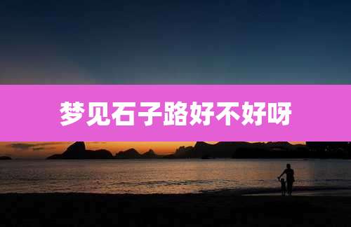 梦见石子路好不好呀