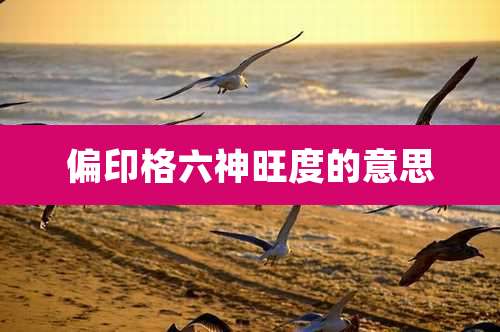 偏印格六神旺度的意思