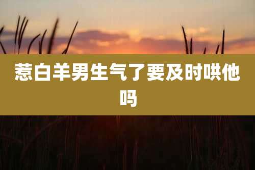 惹白羊男生气了要及时哄他吗