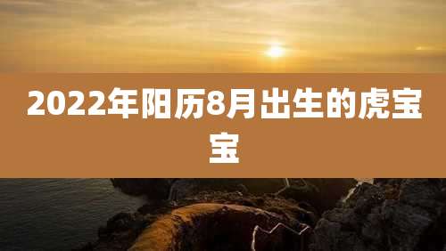2022年阳历8月出生的虎宝宝