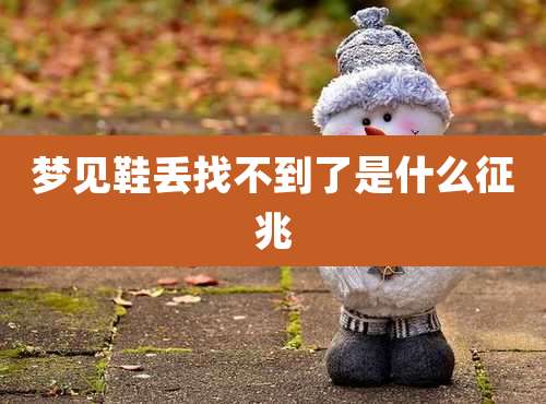 梦见鞋丢找不到了是什么征兆