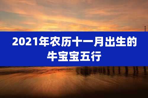 2021年农历十一月出生的牛宝宝五行