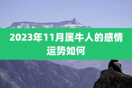 2023年11月属牛人的感情运势如何