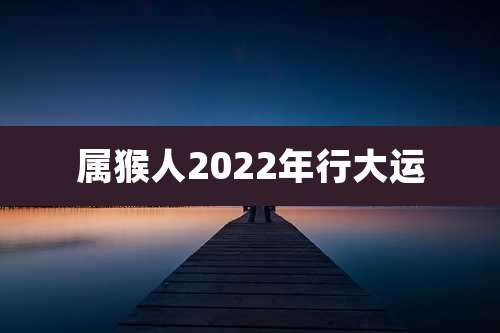 属猴人2022年行大运