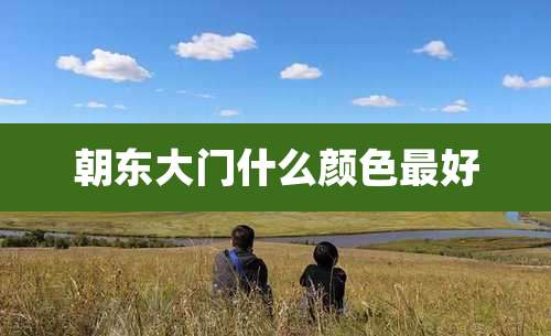 朝东大门什么颜色最好