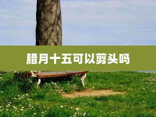 腊月十五可以剪头吗