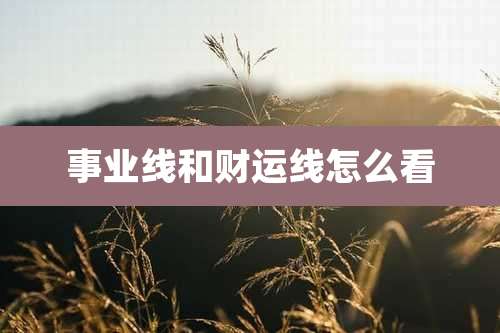 事业线和财运线怎么看