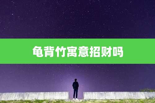 龟背竹寓意招财吗