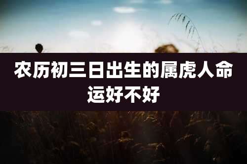 农历初三日出生的属虎人命运好不好