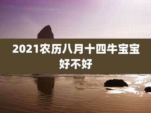 2021农历八月十四牛宝宝好不好