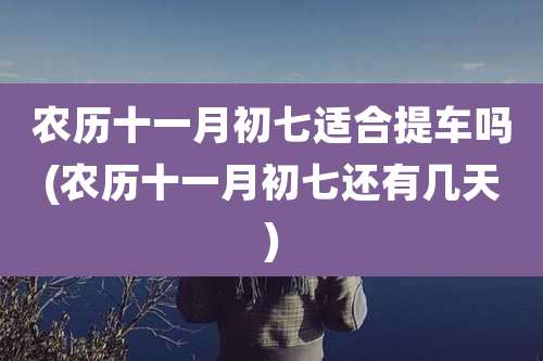 农历十一月初七适合提车吗(农历十一月初七还有几天)