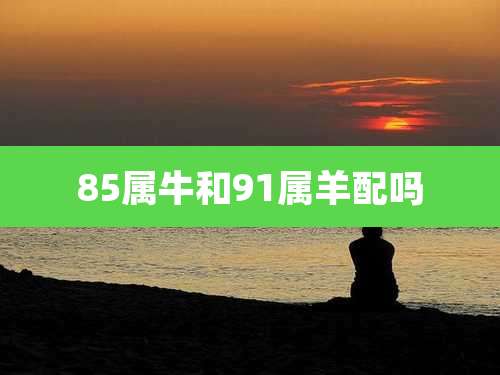85属牛和91属羊配吗