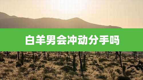 白羊男会冲动分手吗