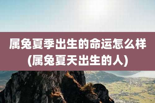 属兔夏季出生的命运怎么样(属兔夏天出生的人)