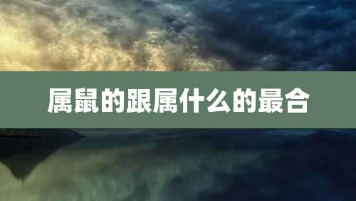 属鼠的跟属什么的最合