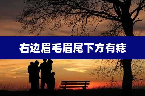 右边眉毛眉尾下方有痣