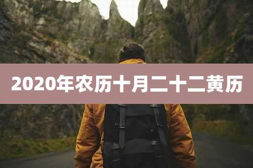 2020年农历十月二十二黄历