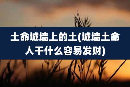 土命城墙上的土(城墙土命人干什么容易发财)