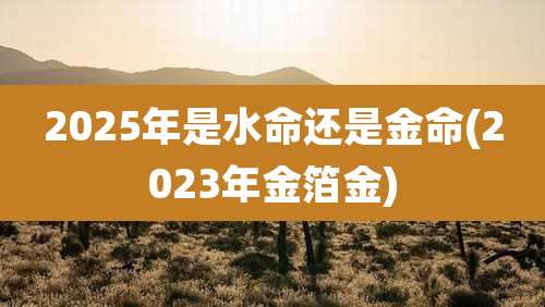 2025年是水命还是金命(2023年金箔金)