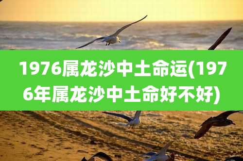1976属龙沙中土命运(1976年属龙沙中土命好不好)