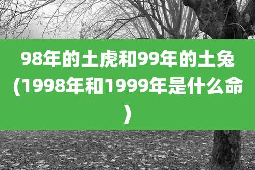 98年的土虎和99年的土兔(1998年和1999年是什么命)