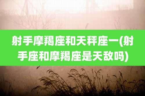 射手摩羯座和天秤座一(射手座和摩羯座是天敌吗)