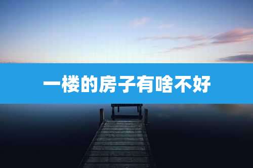 一楼的房子有啥不好