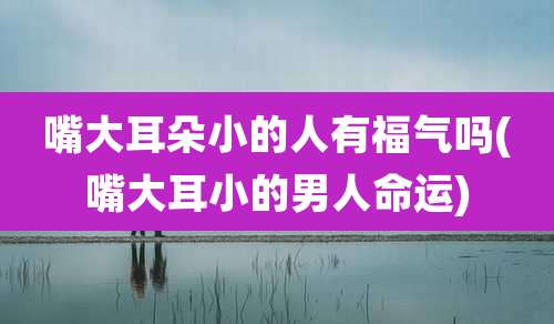 嘴大耳朵小的人有福气吗(嘴大耳小的男人命运)