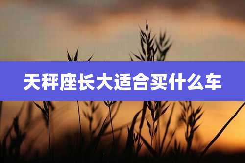 天秤座长大适合买什么车