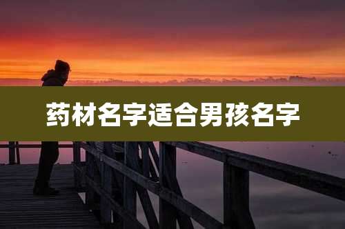 药材名字适合男孩名字