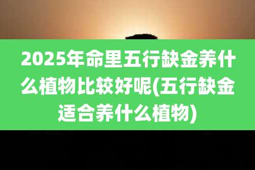 2025年命里五行缺金养什么植物比较好呢(五行缺金适合养什么植物)