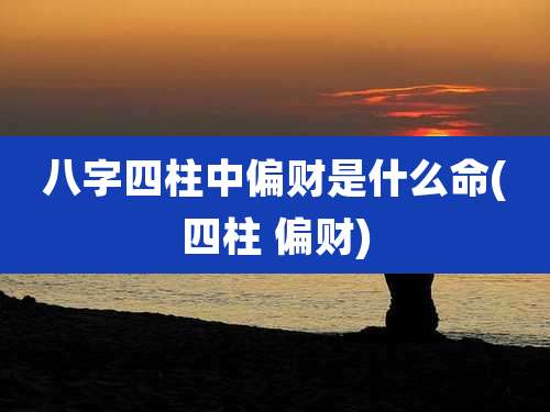 八字四柱中偏财是什么命(四柱 偏财)