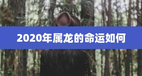 2020年属龙的命运如何