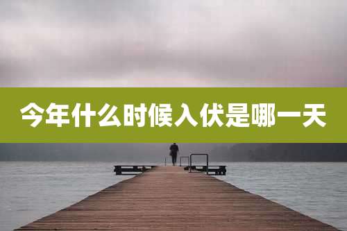 今年什么时候入伏是哪一天