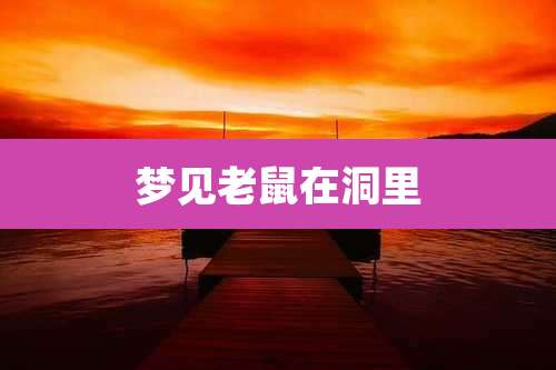 梦见老鼠在洞里