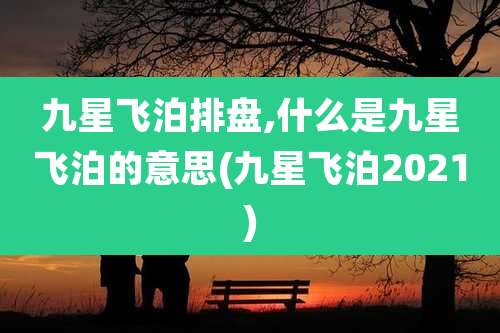 九星飞泊排盘,什么是九星飞泊的意思(九星飞泊2021)