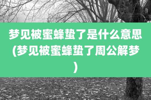 梦见被蜜蜂蛰了是什么意思(梦见被蜜蜂蛰了周公解梦)