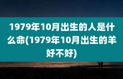 1979年10月出生的人是什么命(1979年10月出生的羊好不好)