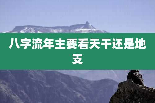 八字流年主要看天干还是地支