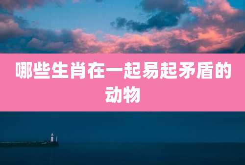 哪些生肖在一起易起矛盾的动物