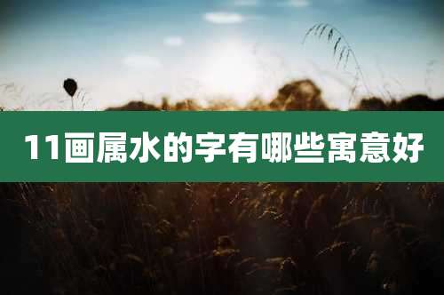 11画属水的字有哪些寓意好