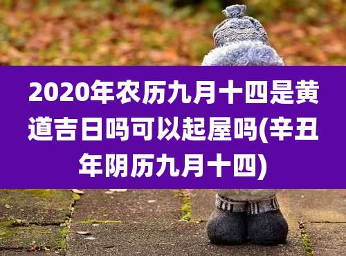 2020年农历九月十四是黄道吉日吗可以起屋吗(辛丑年阴历九月十四)