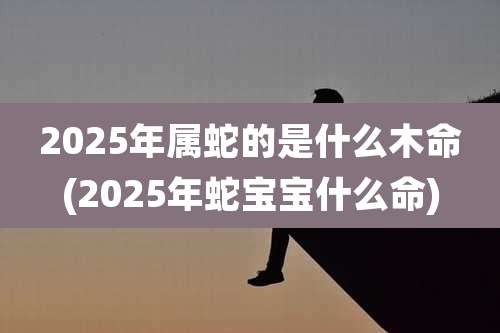 2025年属蛇的是什么木命(2025年蛇宝宝什么命)