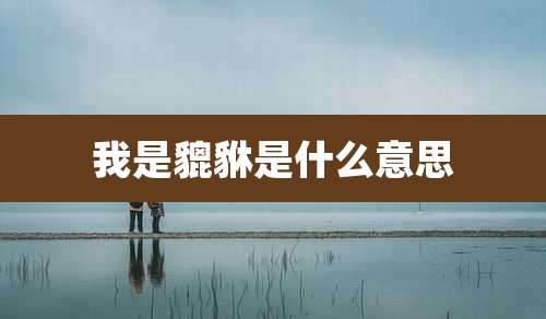 我是貔貅是什么意思