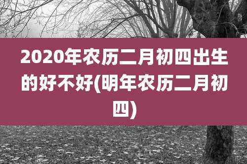 2020年农历二月初四出生的好不好(明年农历二月初四)