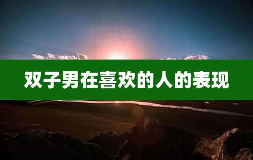 双子男在喜欢的人的表现