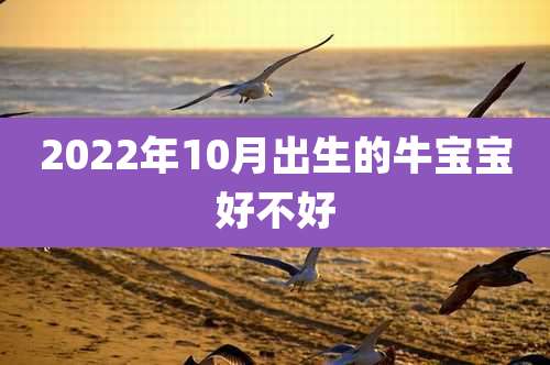 2022年10月出生的牛宝宝好不好